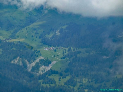 2016 07 25 SAC RS Lai Tigiel-25_bearbeitet-1
