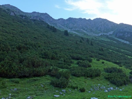 2016 07 26 SAC RS Pix Toissa-08_bearbeitet-1